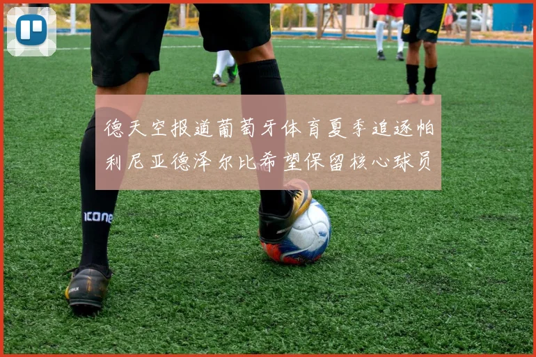 德天空报道葡萄牙体育夏季追逐帕利尼亚德泽尔比希望保留核心球员